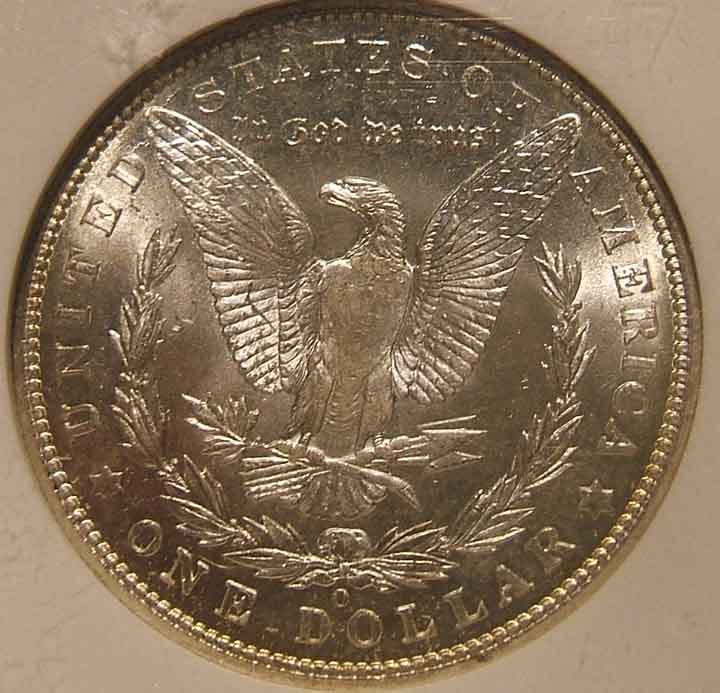 Three-Morgans-For-Grading...